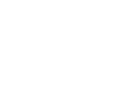 Feuerstättenreiniger Logo